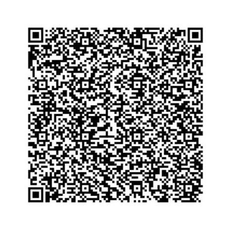 UPI QR Code